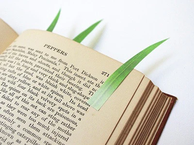 Green Marker - Image 5