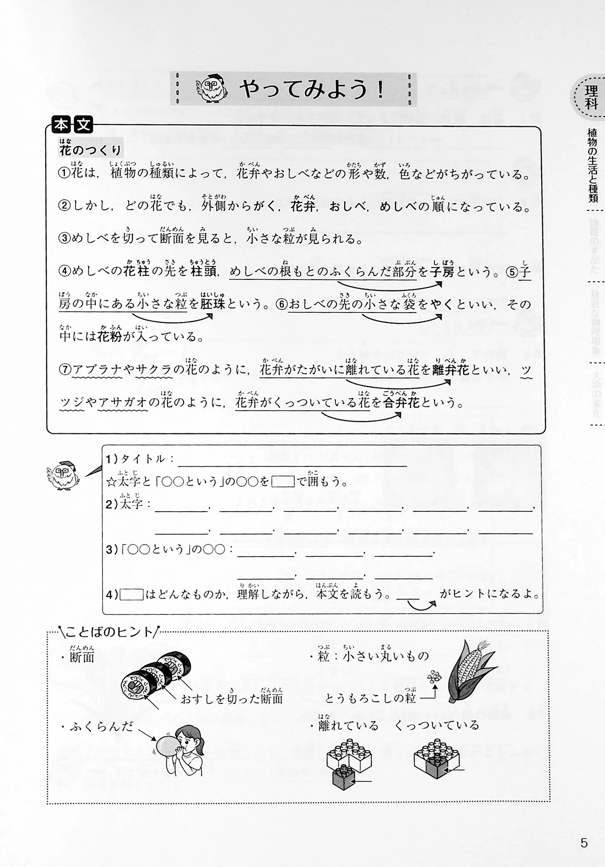 Japanese Junior High School - School Subject - Image 4