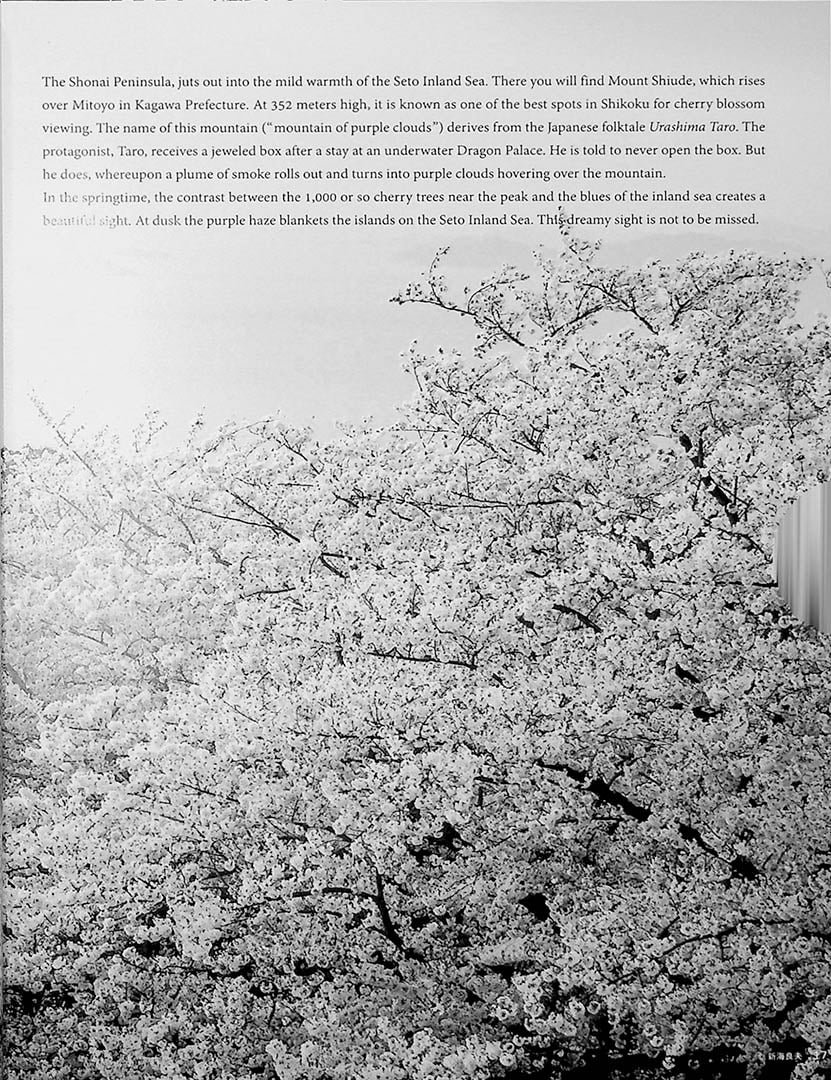 Seasonal Japan – The Exquisite Scenery of Japan’s Four Seasons - Image 15