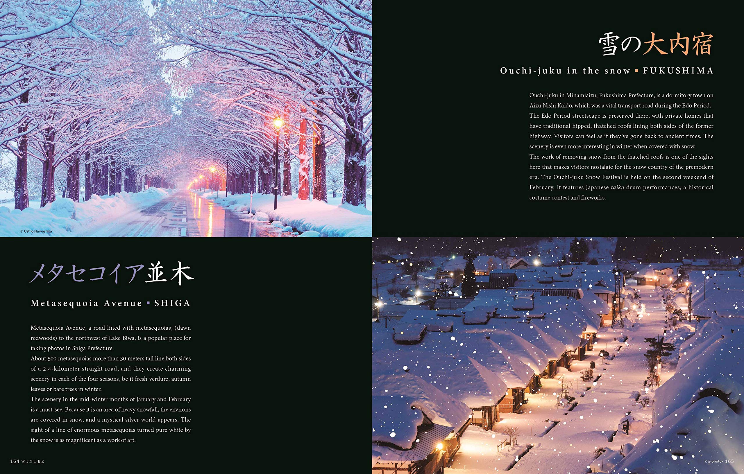 Seasonal Japan – The Exquisite Scenery of Japan’s Four Seasons - Image 3