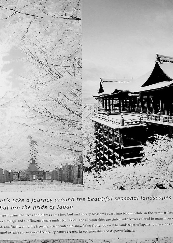 Seasonal Japan – The Exquisite Scenery of Japan’s Four Seasons - Image 9
